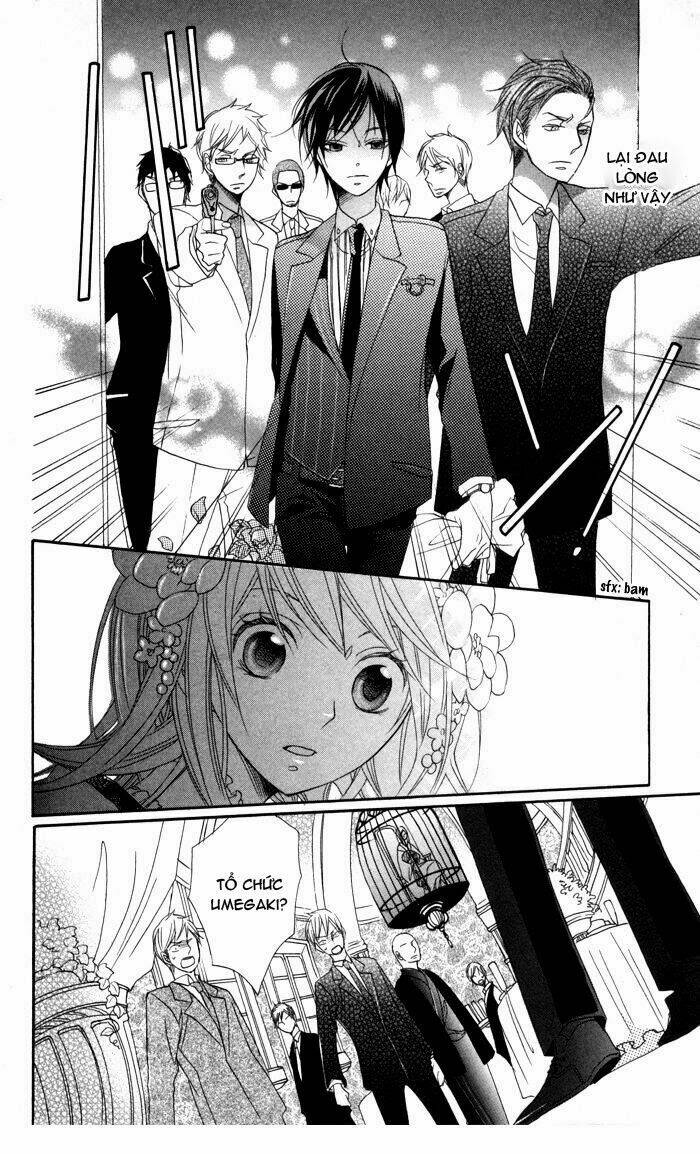 hoa hồng hoang dã chapter 2 25