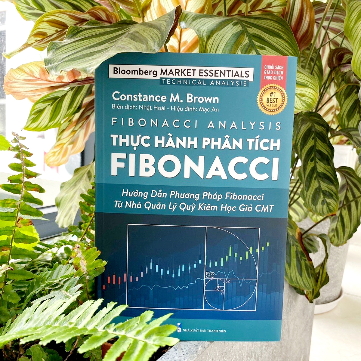 Thực hành Phân tích Fibonacci - Hướng dẫn Phương pháp Fibonacci từ Nhà Quản Lý Quỹ kiêm Học giả CMT