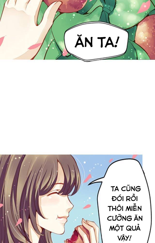 thành phố gương chapter 2 12