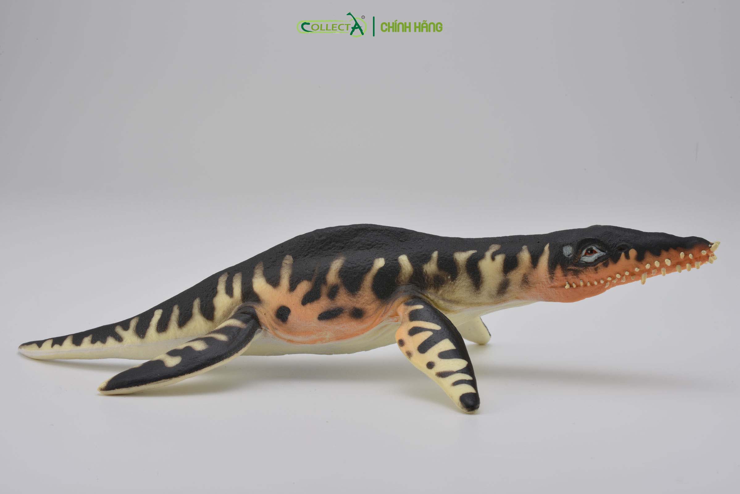 Mô hình thu nhỏ: Khủng Long Liopleurodon  - Liopleurodon, hiệu: CollectA, mã HS 9654170[88237] -  Chất liệu an toàn cho trẻ - Hàng chính hãng