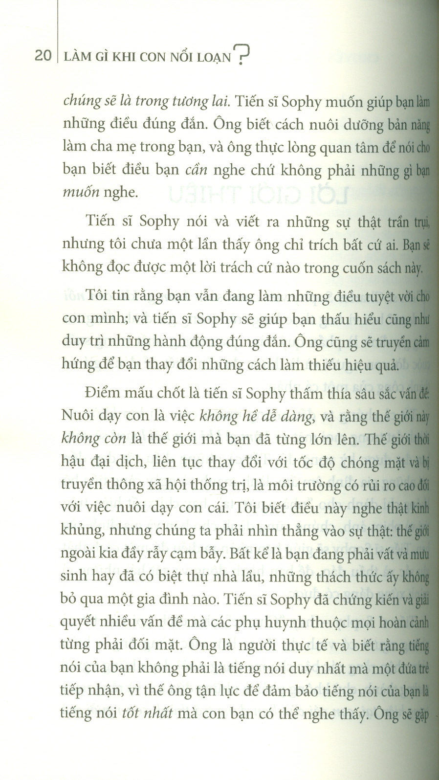 Làm Gì Khi Con Nổi Loạn? (Family Values) - Dr. Charles Sophy; Đào Thị Hương Lan dịch; TS. Lê Nguyên Phương viết lời giới thiệu