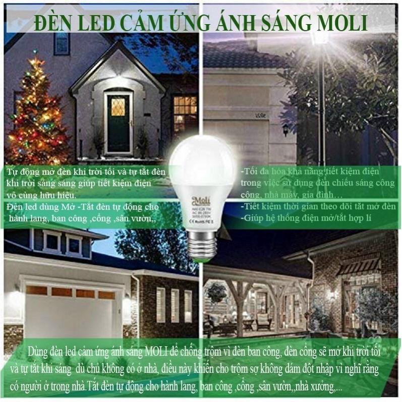 ĐÈN LED CẢM ỨNG ÁNH SÁNG MOLI