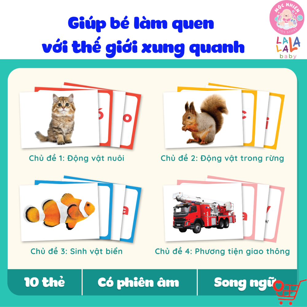 Flashcard Cho Bé - Bộ 100 Thẻ Học Thông Minh Giáo Giục Sớm Glenn Doman size A5 15x21cm song ngữ Anh Việt - Lalala Baby