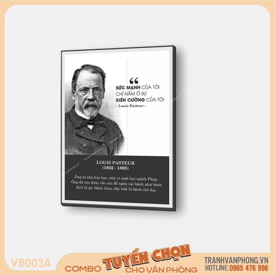 Bộ 3 tranh quotes vĩ nhân và các trích dẫn nổi tiếng - VB003