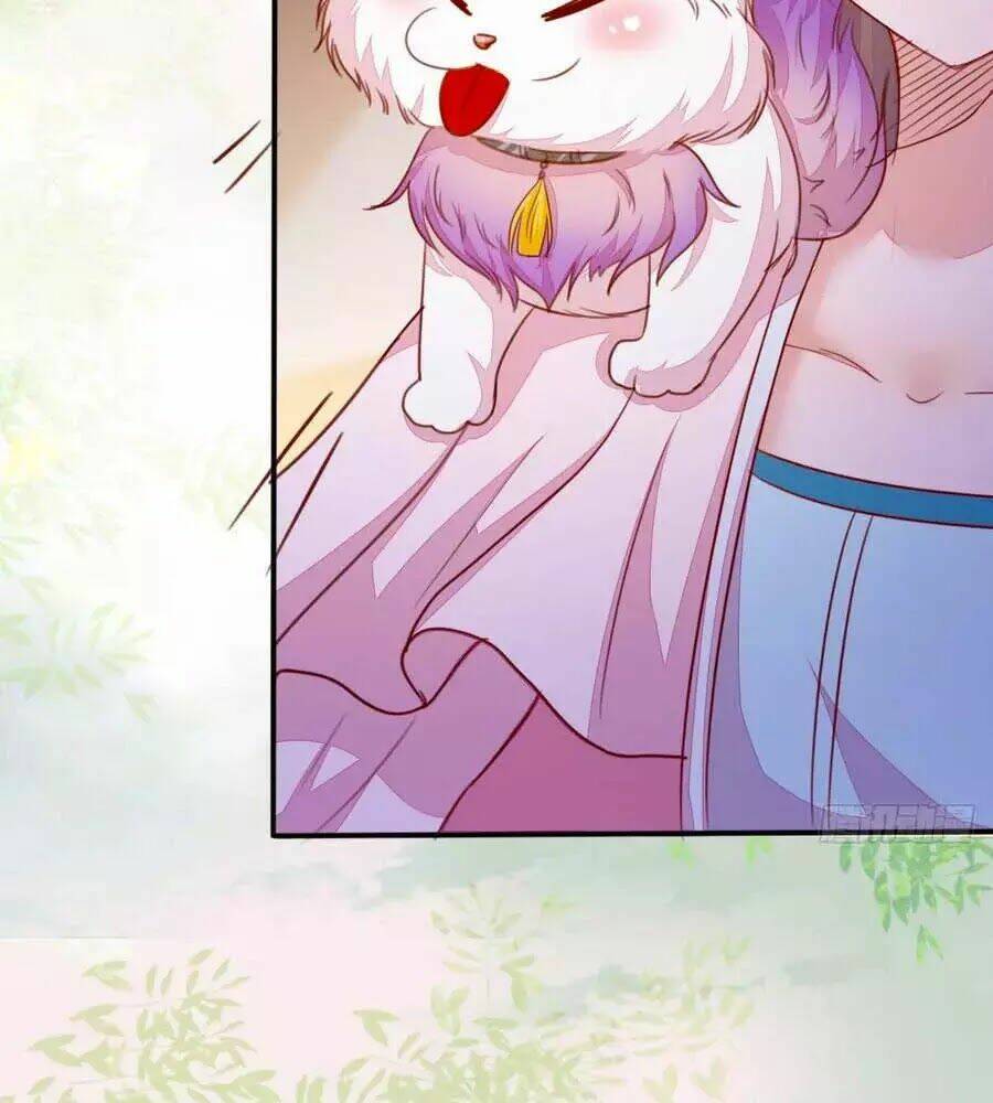 thần y khí nữ: ngự thú cuồng phi của quỷ đế chapter 62 40