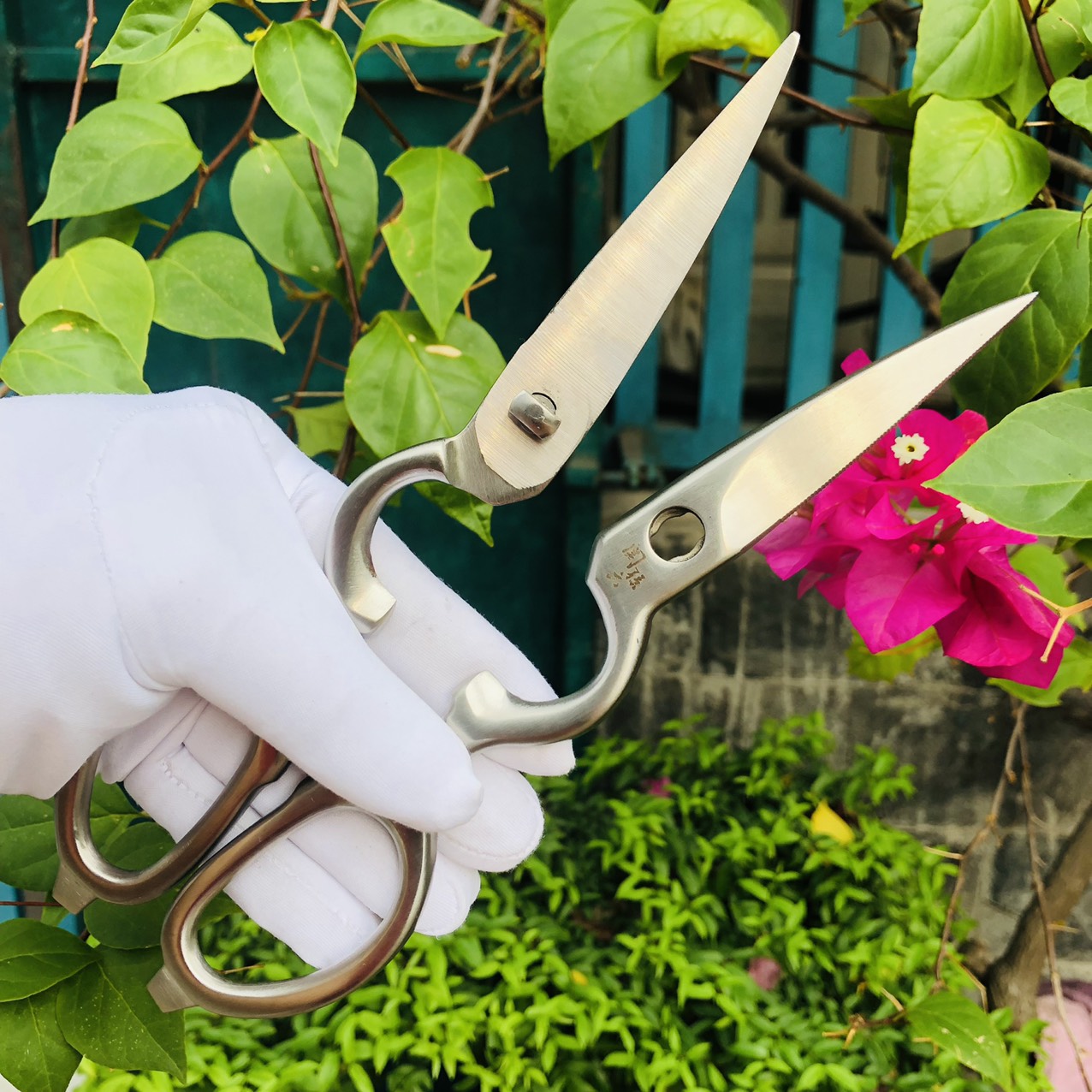 Kéo bếp đa năng Nhật Kai siêu sắc bén, bền bỉ, có trợ lực, khóa an toàn, tháo ra lắp ráp tiện lợi, dễ sử dụng.