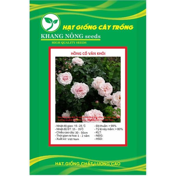 Hạt giống hoa hồng cổ vân khôi KNS3426 - Gói 10 hạt