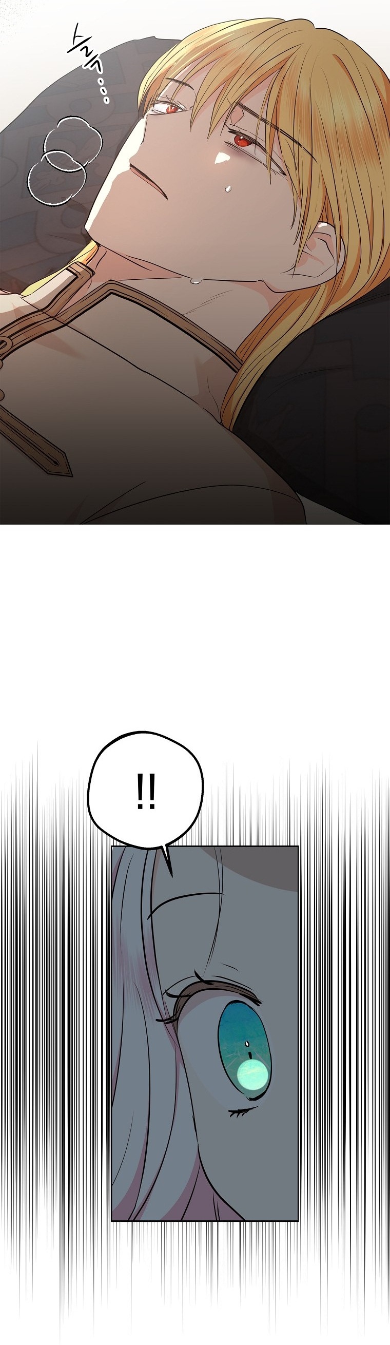 công chúa ngoài giá thú chapter 81 30