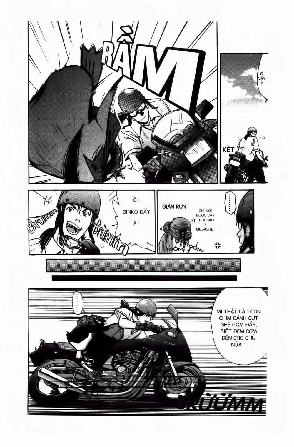 chim cánh cụt ginji chapter 9 4