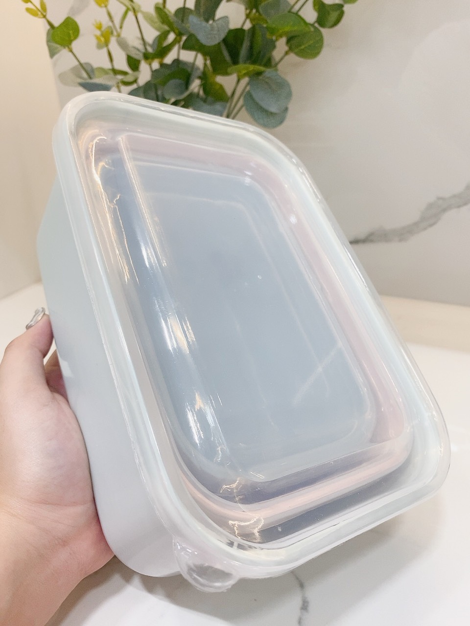 Bộ 3 hộp đựng thực phẩm thức ăn SẮC MÀU Tashuan, Hộp lạnh trữ đồ đông chắc chắn an toàn