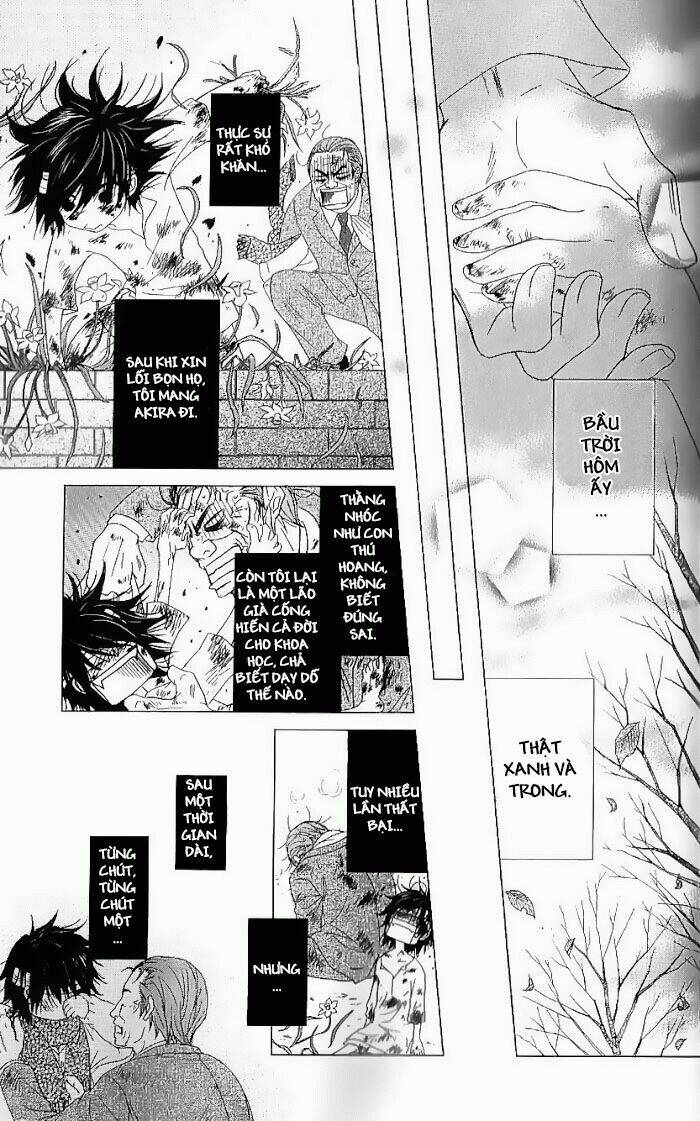 điện kích daisy chapter 65 20