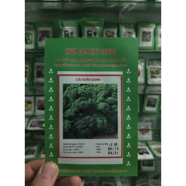 Hạt Giống Cải Xoăn Xanh - Nảy Mầm Cực Chuẩn