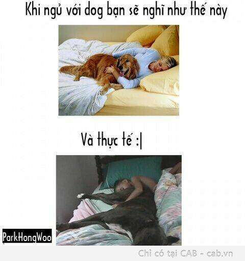 rage comic-troll chapter 54 9