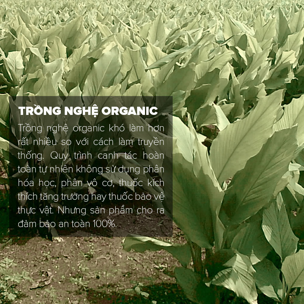 Bộ 2 Tinh Bột Nghệ Đỏ Toro Nguyên Chất 100% | 500GR/Hũ | TORO FARM