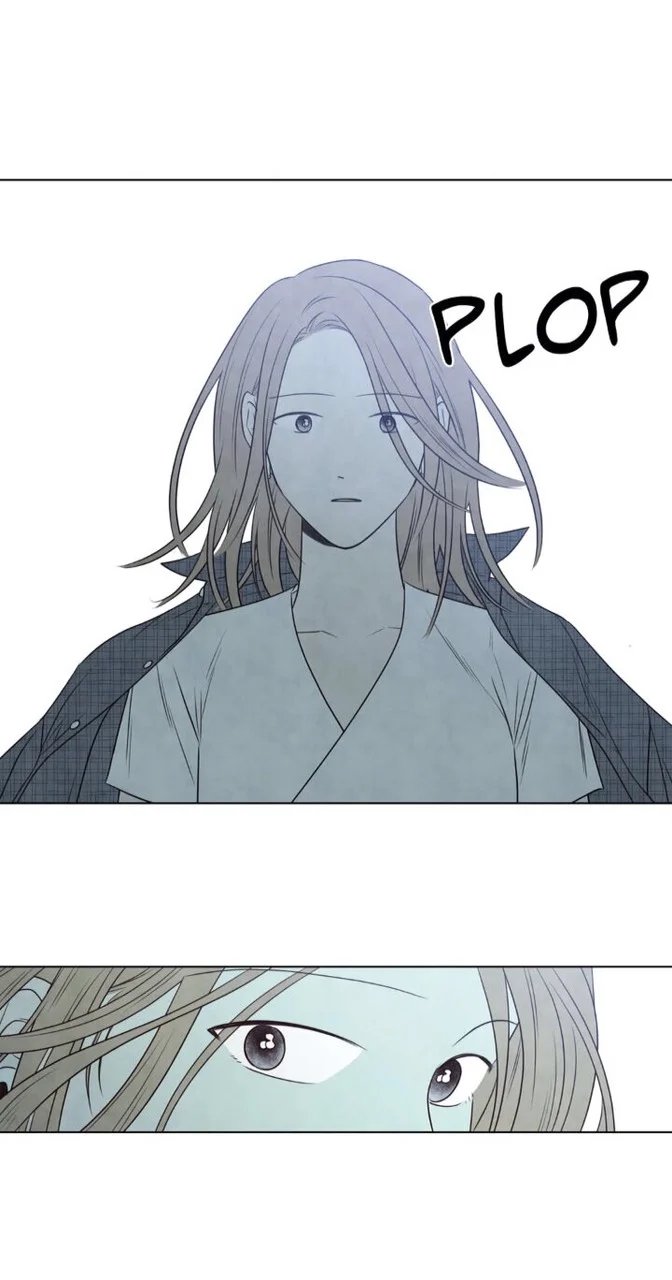 summer solstice point chapter 41 2