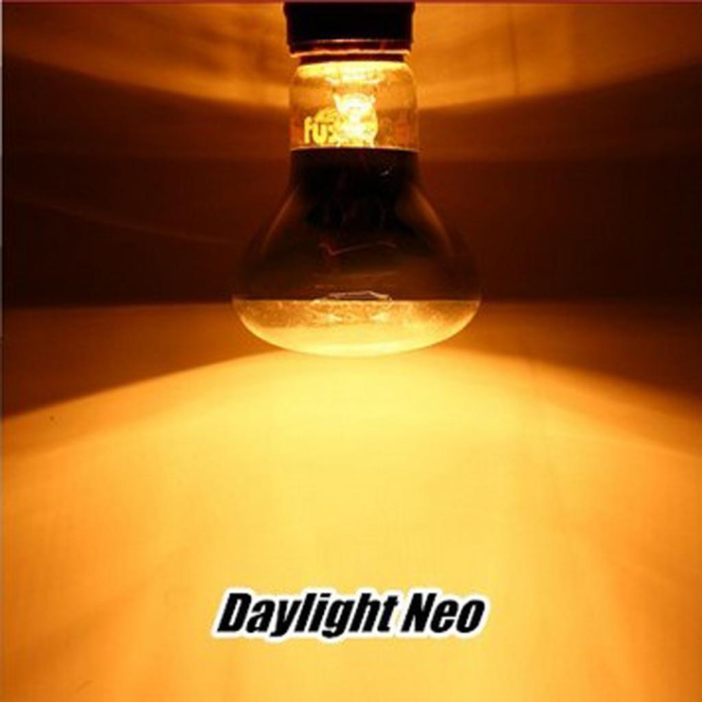 2 Pcs Glass Reptile Heat Emitter Lamp Heater Bulb for Reptiles, Chicken Coop