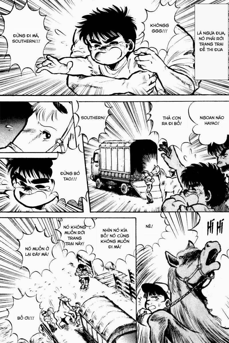 kaze no sylphid - phong mã silphid chapter 1 24