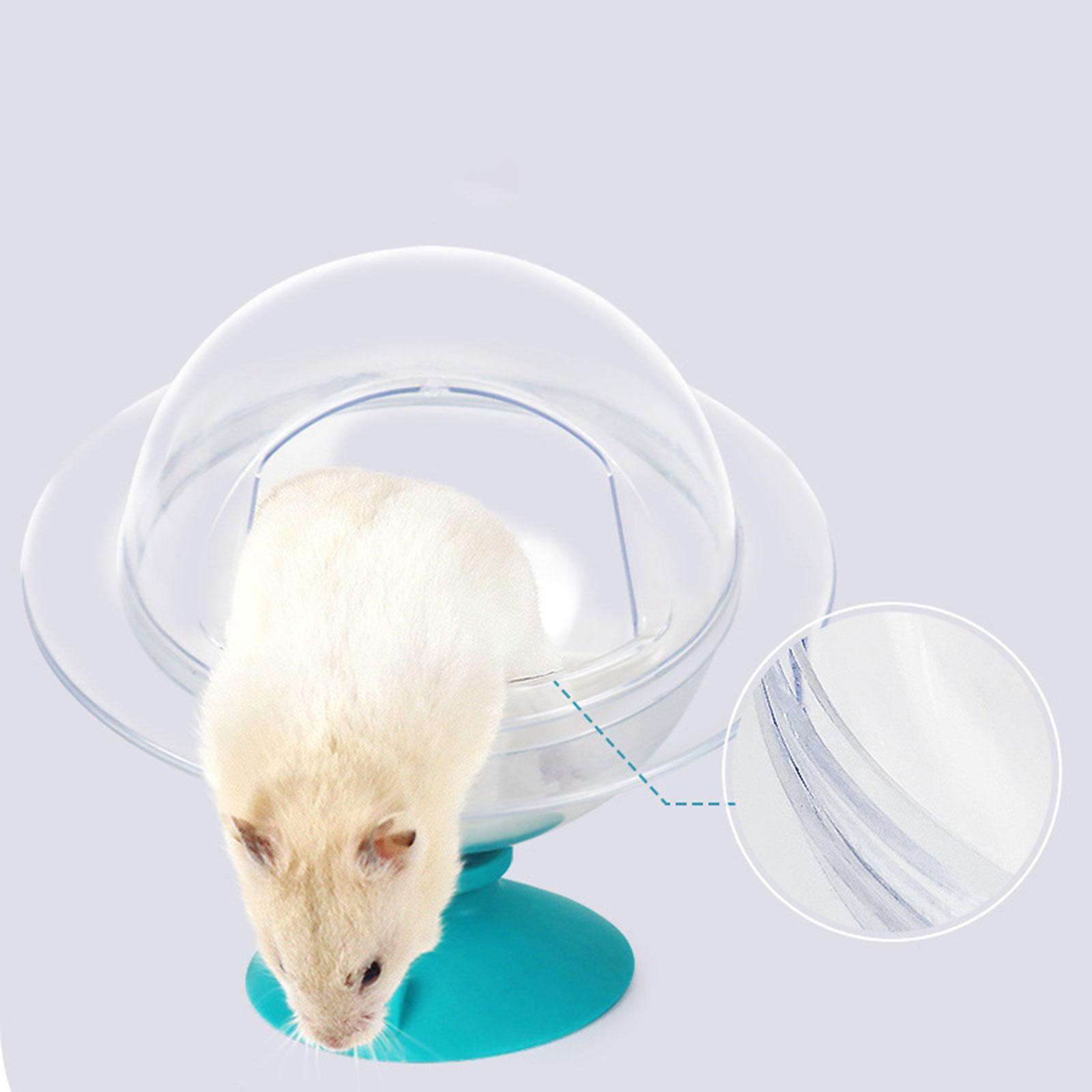 Hamster Sand Bath Clear Hamster Sand Container for Squirrels Ferret Hedgehog