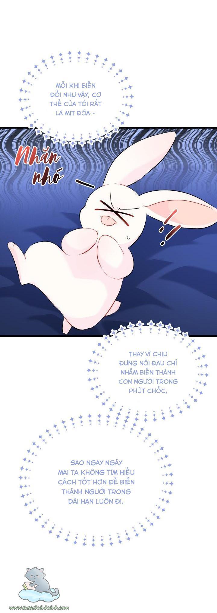 quan hệ cộng sinh giữa báo đen và thỏ trắng chapter 46 65