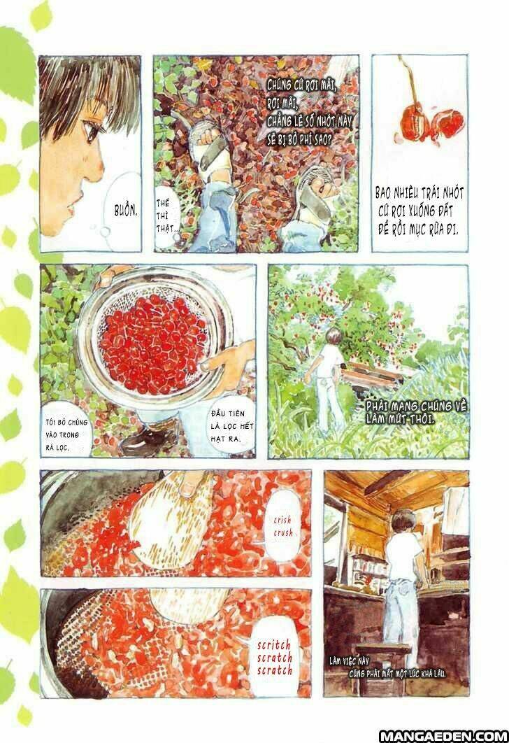 little forest chapter 1 8