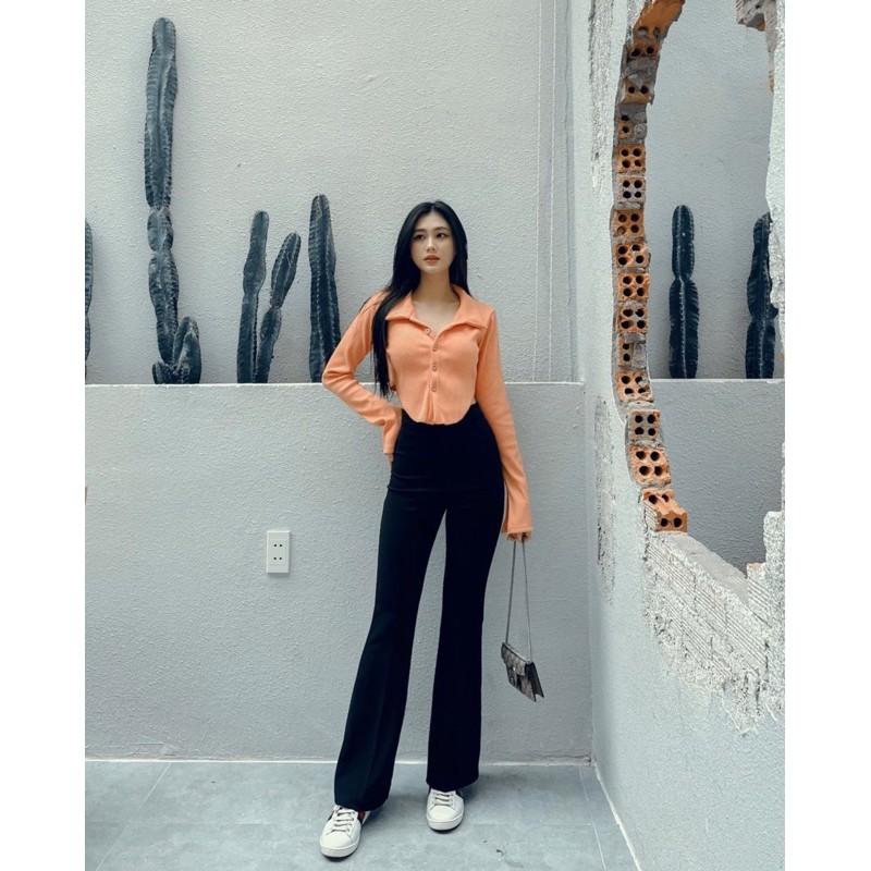 Áo polo nút tay dài