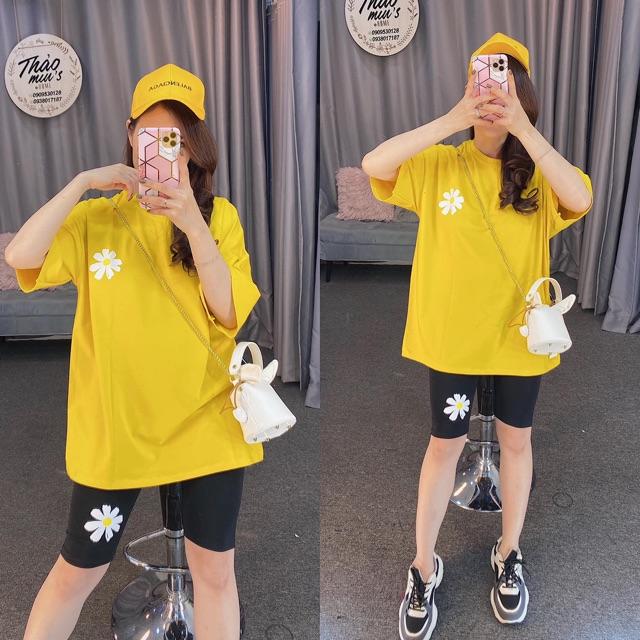 Bộ lửng hoa cúc siêu êu