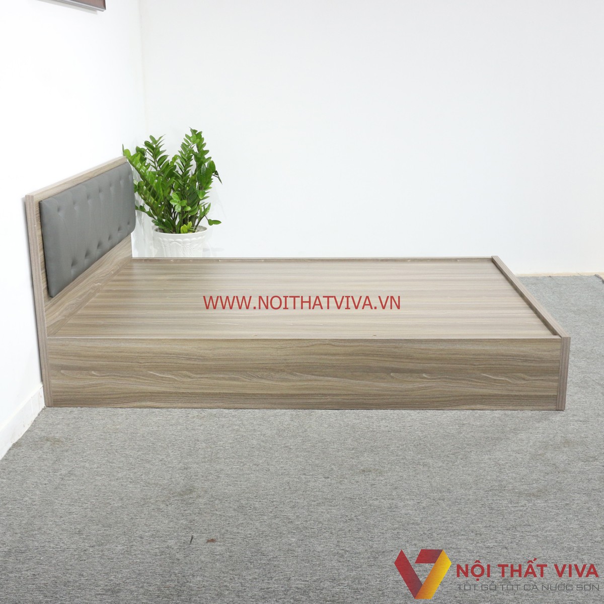 Giường Ngủ Gỗ MDF Melamine Màu Xám Vân Gỗ Có Đầu Nệm Đen Đẹp Giá Rẻ
