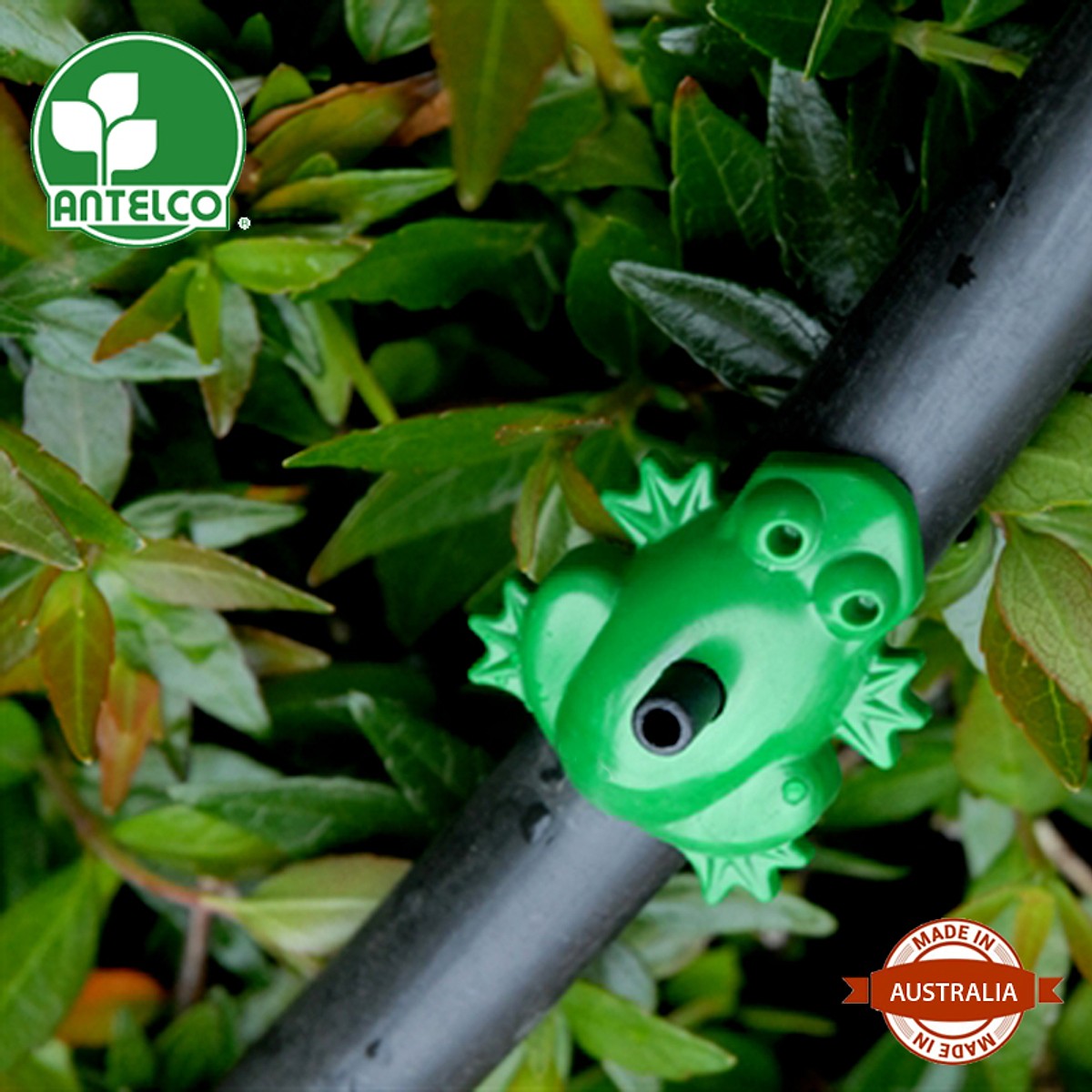 Bộ 100 béc tưới cây DripPets Frog. Xuất xứ: Australia.
