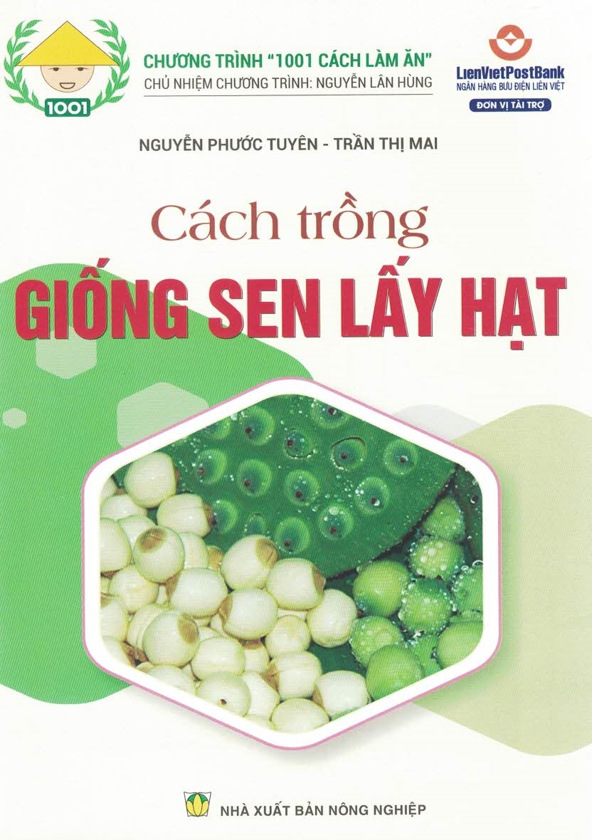 Cách Trồng GIỐNG SEN LẤY HẠT