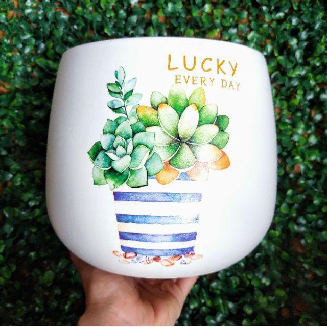 Chậu sứ trồng cây quả lê in hình siêu đẹp, size to S1, chậu sứ trồng cây, cây văn phòng, cây để bàn