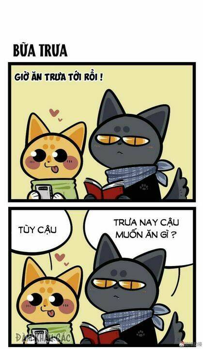 đời không như mình tưởng chapter 58 1