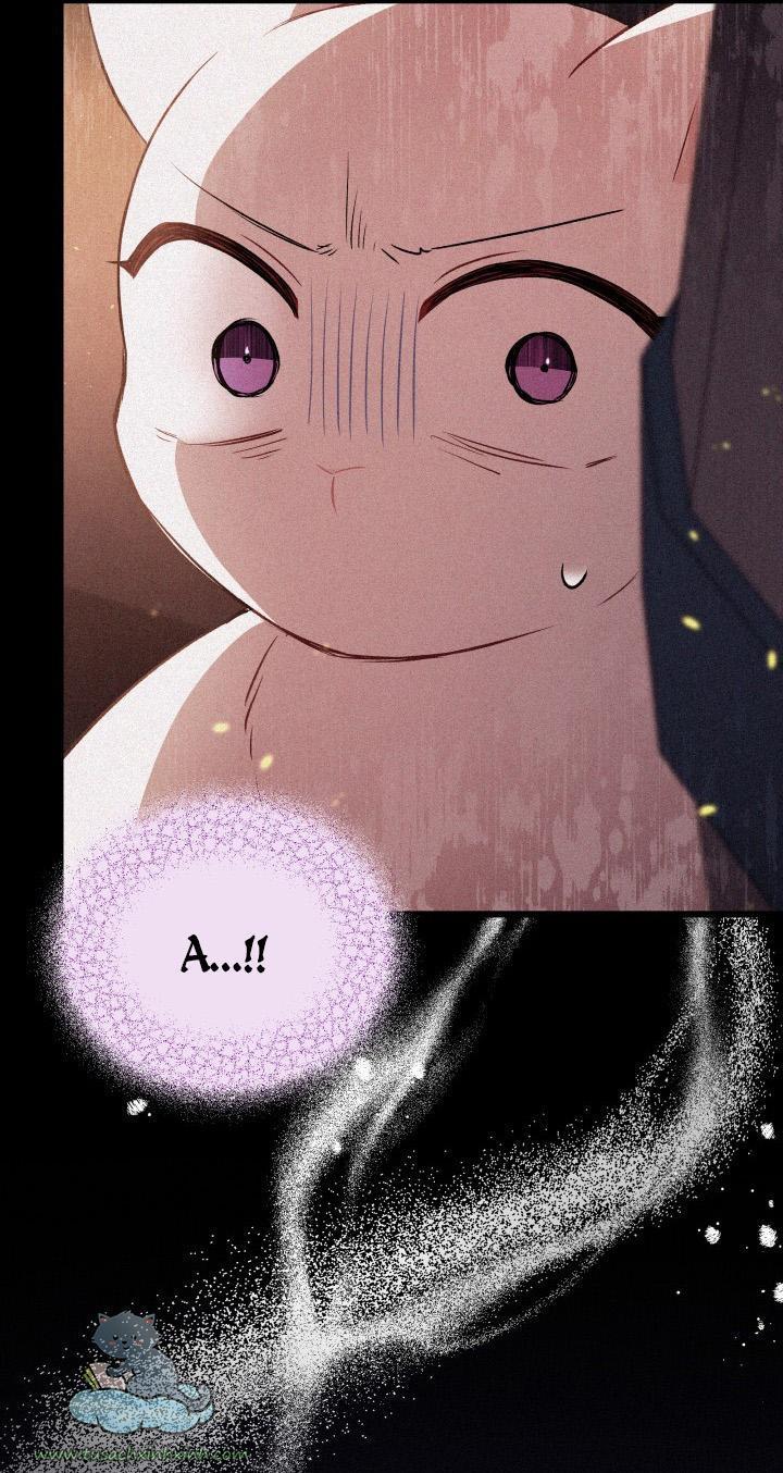 quan hệ cộng sinh giữa báo đen và thỏ trắng chapter 58 51