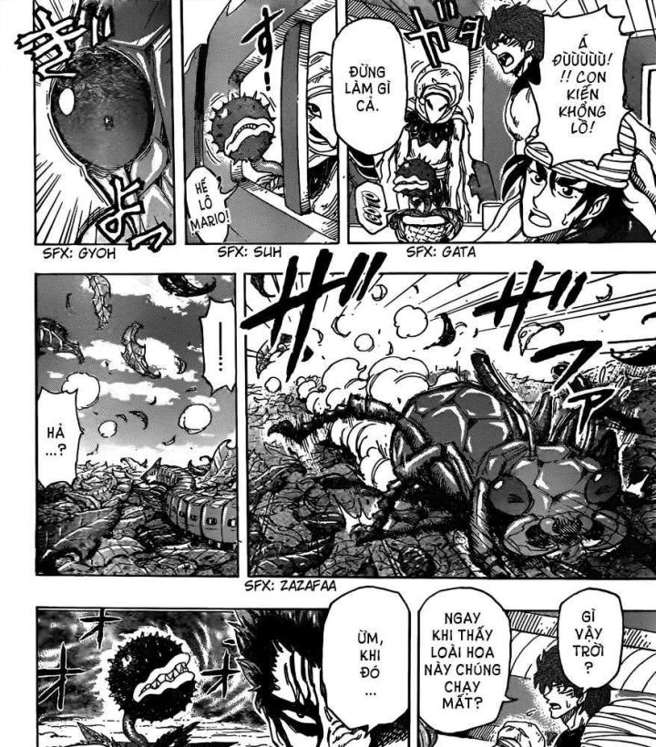 thánh tỏi sành ăn chapter 299 10