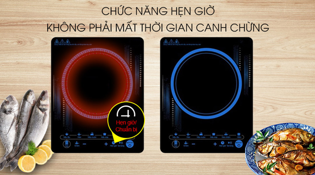 Bếp Từ 217DC - Hàng Chính Hãng