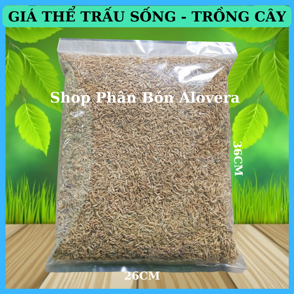 Vỏ Trấu- Vỏ Lúa Trồng Cây