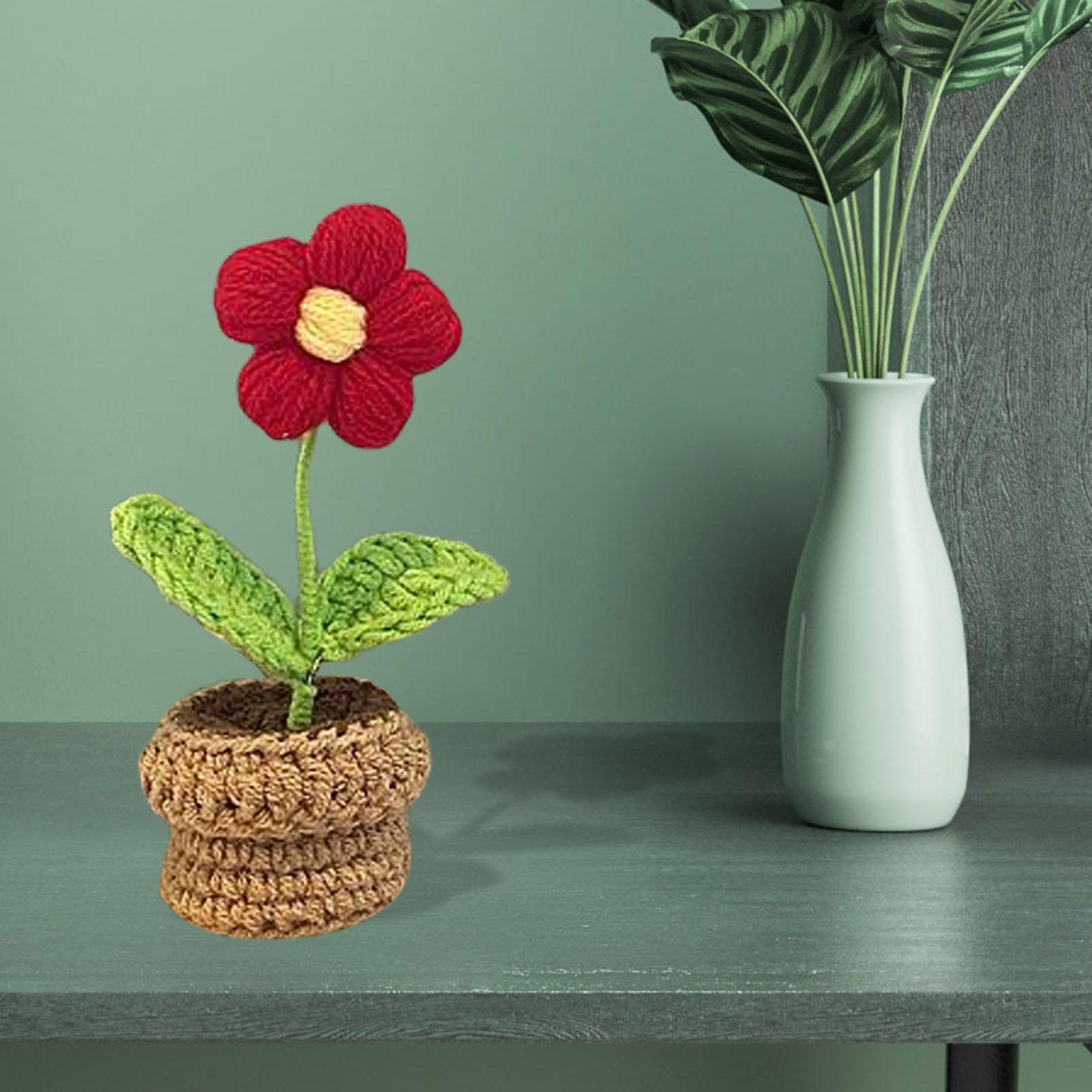 Handmade DIY Beginner Crochet Kit for Adults and Kids Includes Yarn