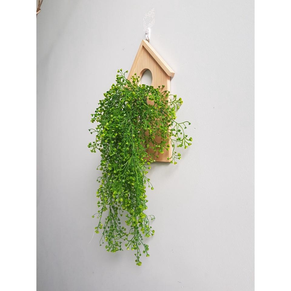 Kệ Gỗ Treo Tường Hình Mái Nhà Độc Đáo Kèm Bình Thuỷ Tinh Cắm Hoa, Trồng Cây Thuỷ Sinh Trang Trí Ban Công
