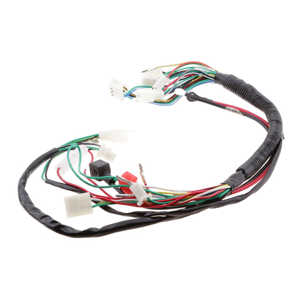 Wiring Coil Stator CDI Loom Electric Start for 110cc 125cc 250cc Pit Bike