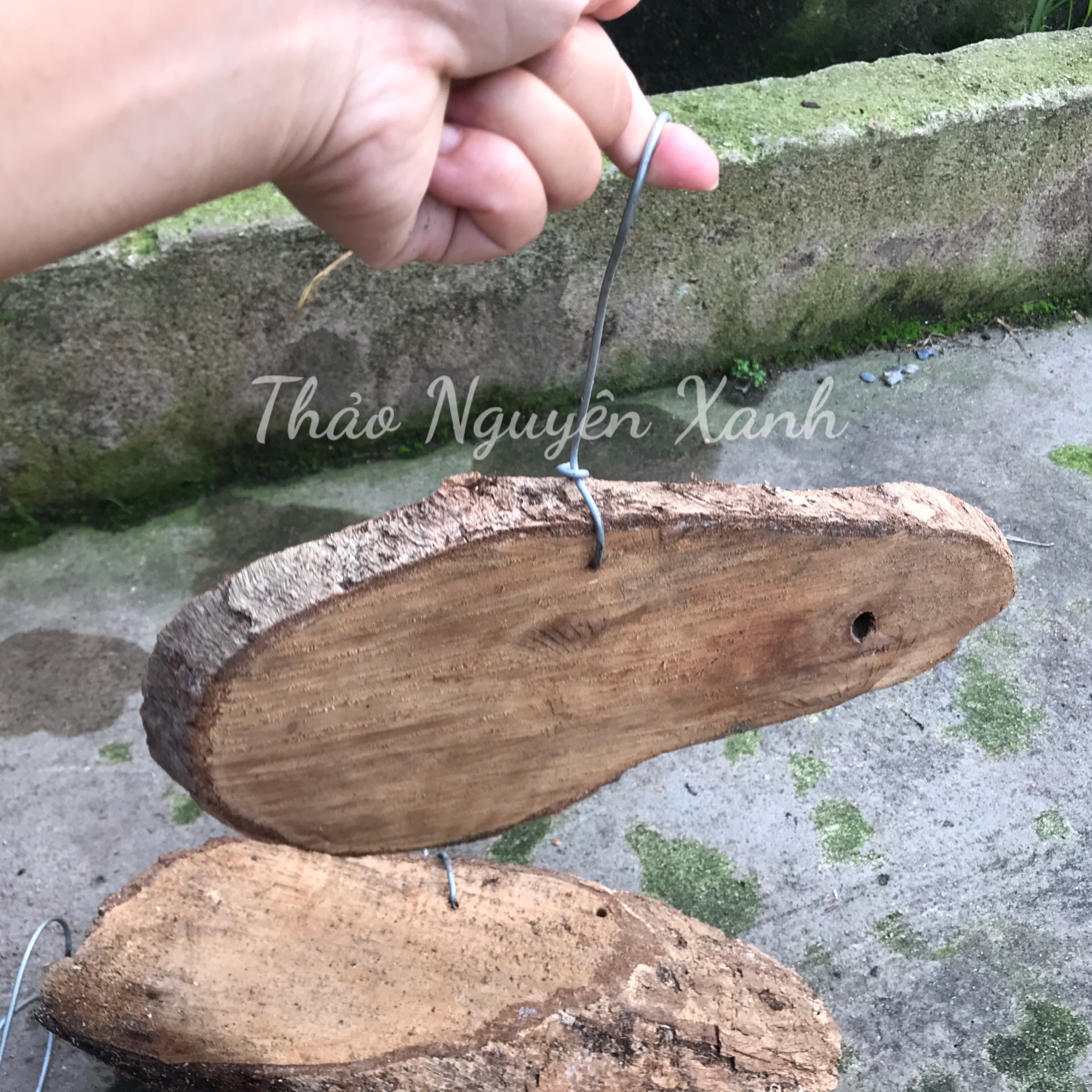Bảng Gỗ Vú Sữa Có Móc Treo