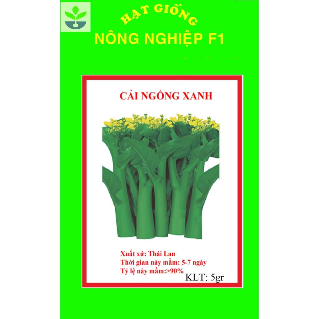 Gói 5 gr hạt giống cải ngồng xanh