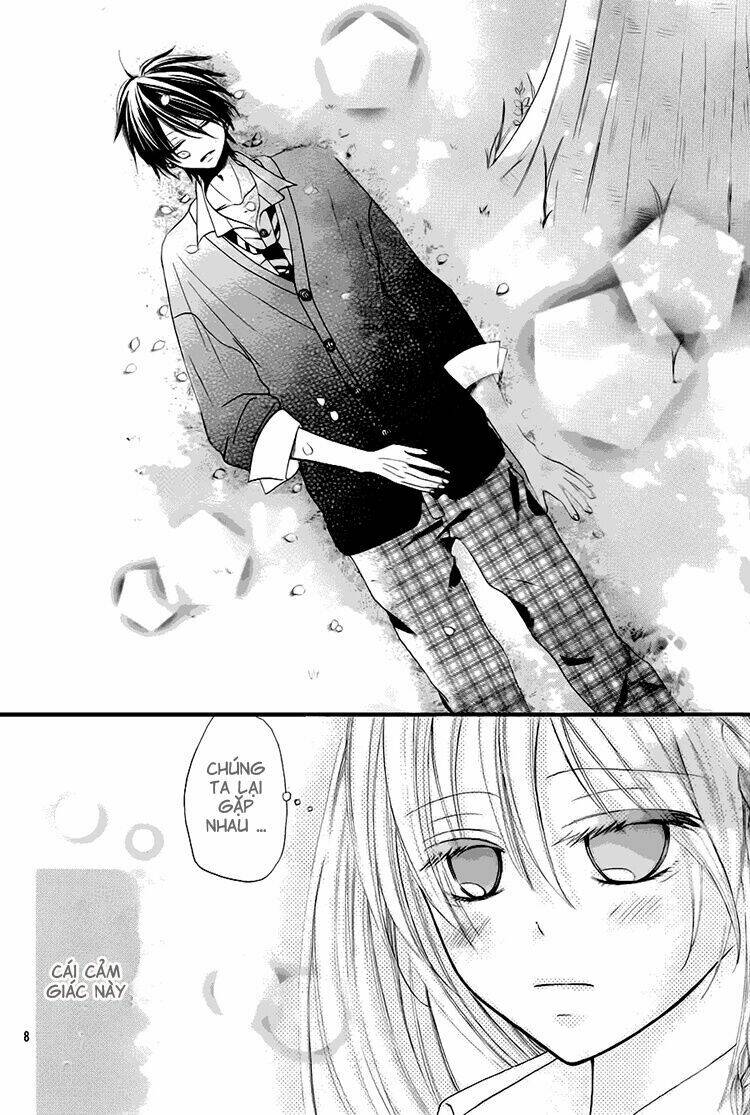 kimi wa maru de, ano hana no you de chapter 2 8