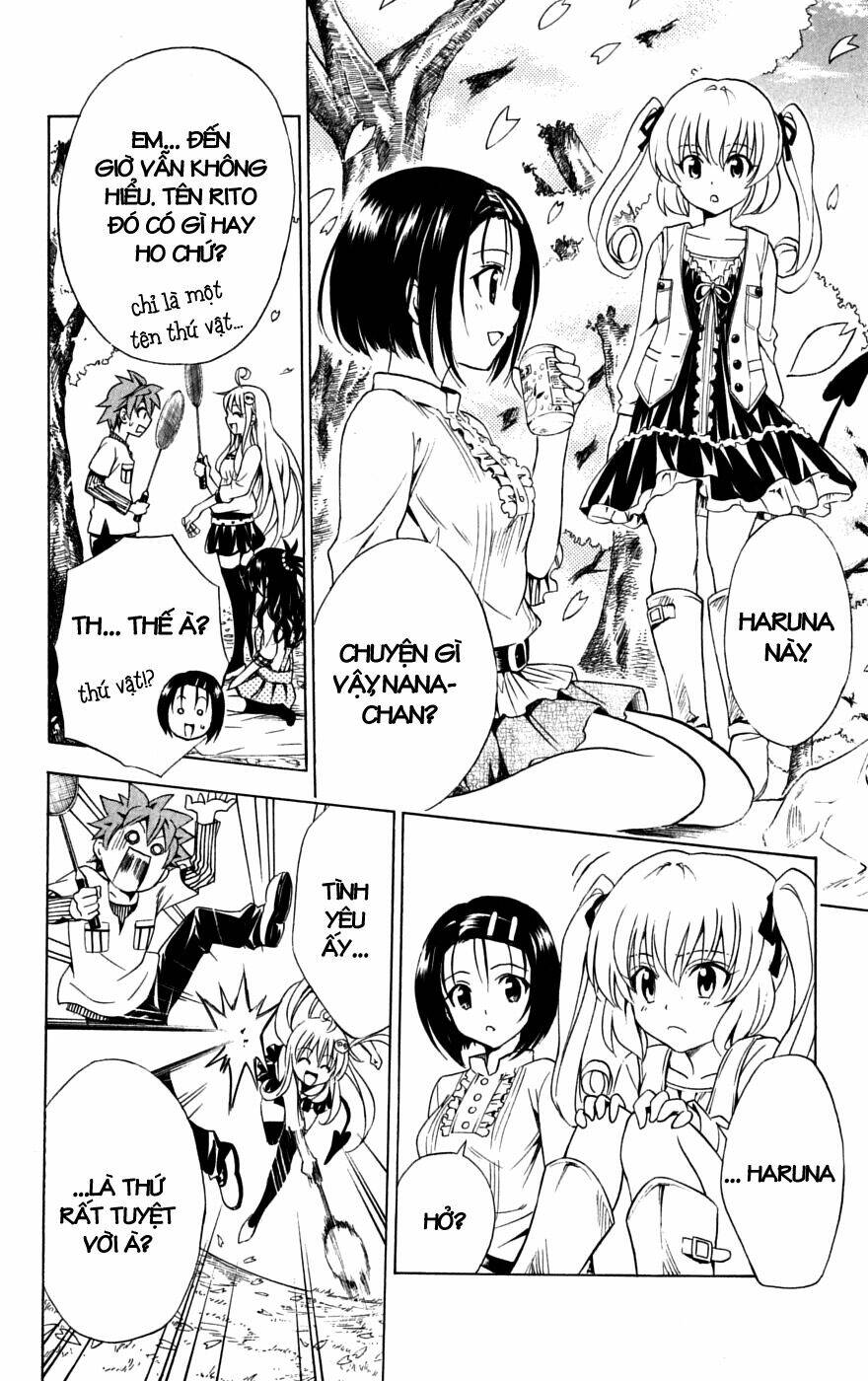 bọn tớ thích cậu! rito chapter 141 8