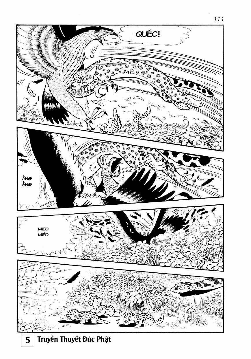 buddha - truyền thuyết đức phật chapter 25.1 5
