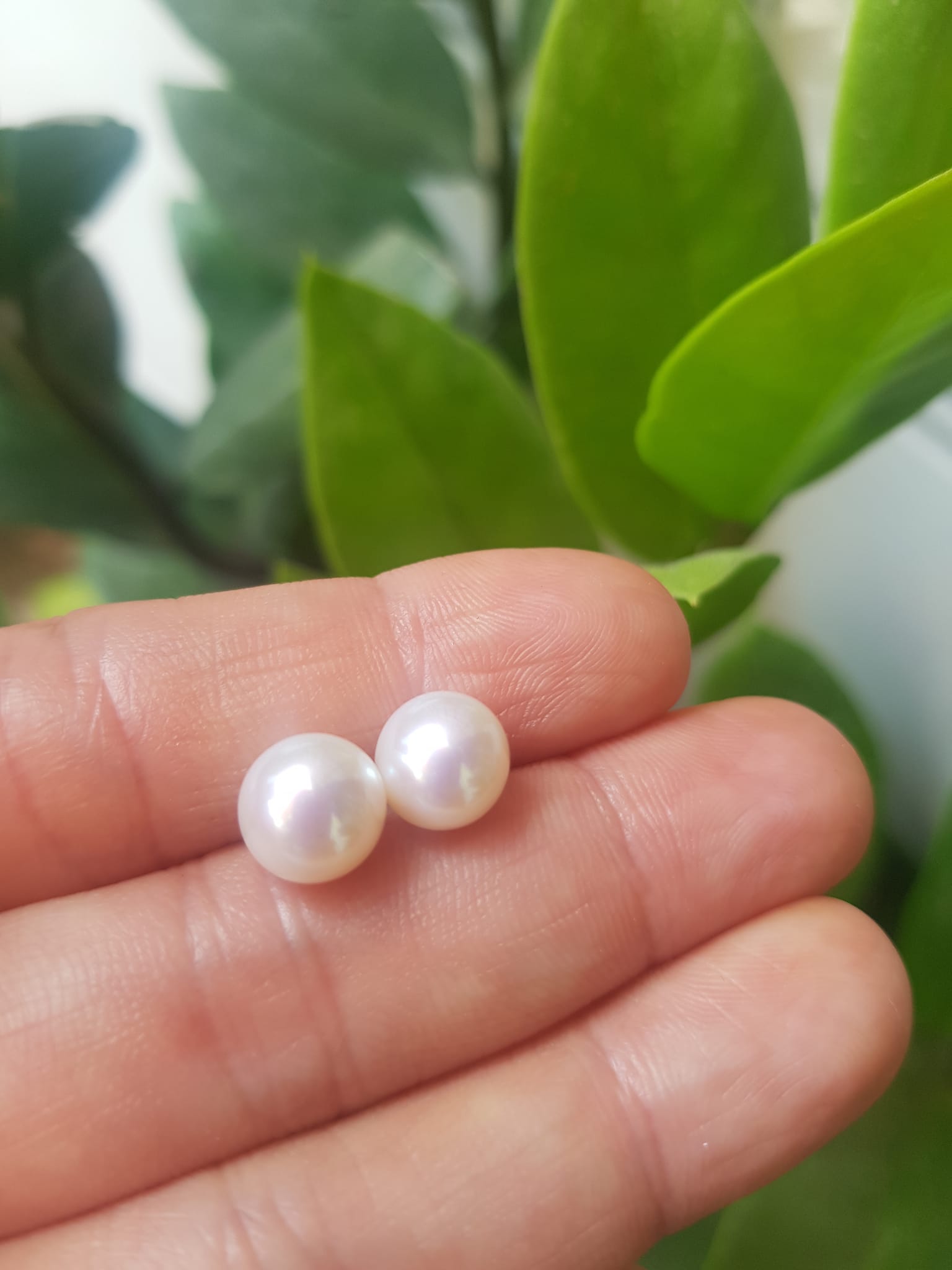 Đôi Bông Ngọc Trai Cao Cấp Bóng Đẹp  Cặp Bông tai màu Trắng Bóng size 8mm vừa đẹp  Nữ Bọc Vàng đeo lên tay vừa đẹp vừa sang ạ