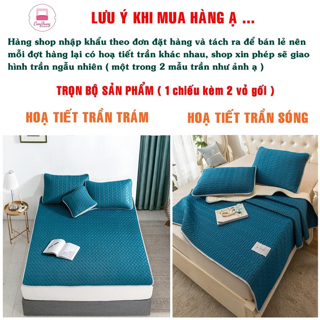 Chiếu điều hòa Tencel Latex từ cao su non êm mát hàng nhập - Đủ Màu