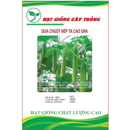 Hạt Giống Dưa chuột nếp ta cao sản F1 CT79 – Gói 10Hạt