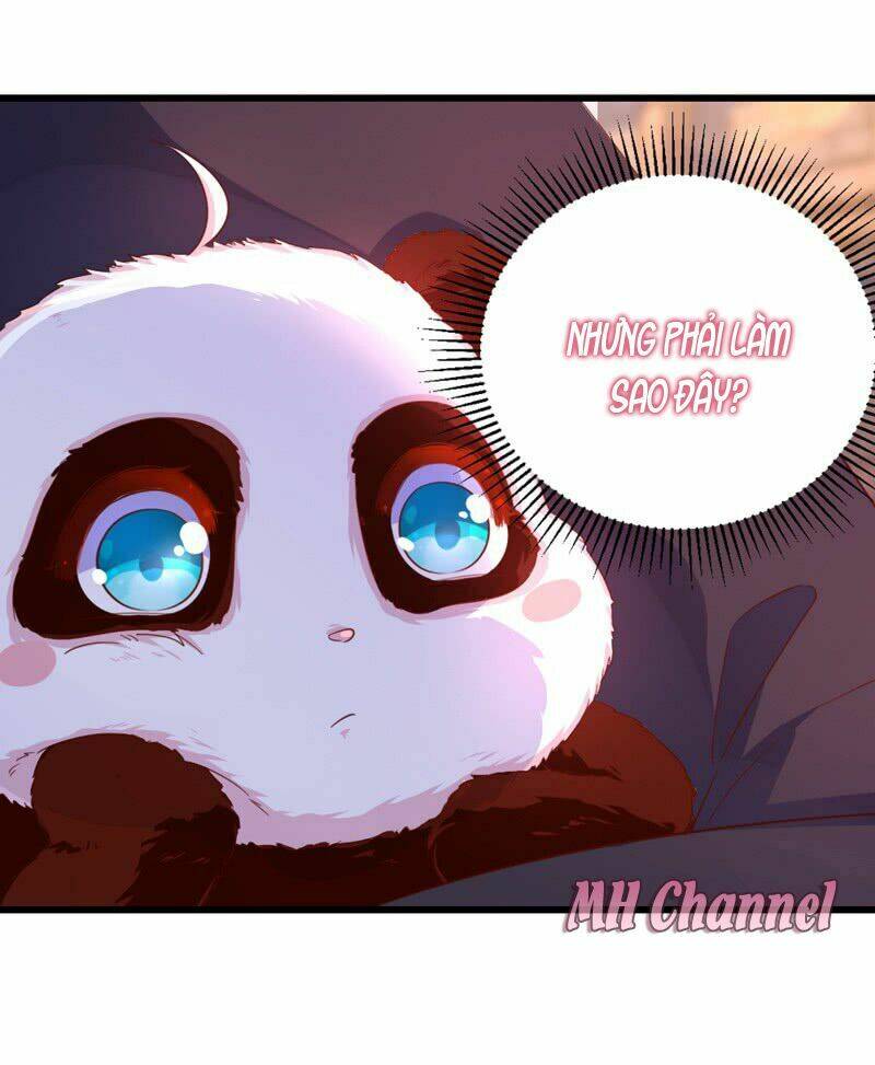 thiên thần gấu trúc muốn được ôm chapter 7 20