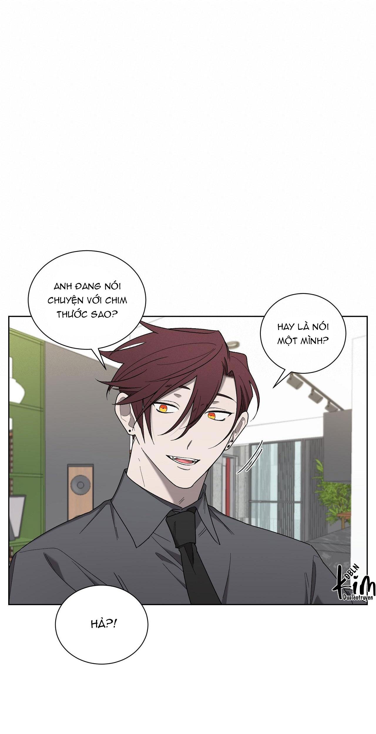 khi chim thước đến chapter 19 10