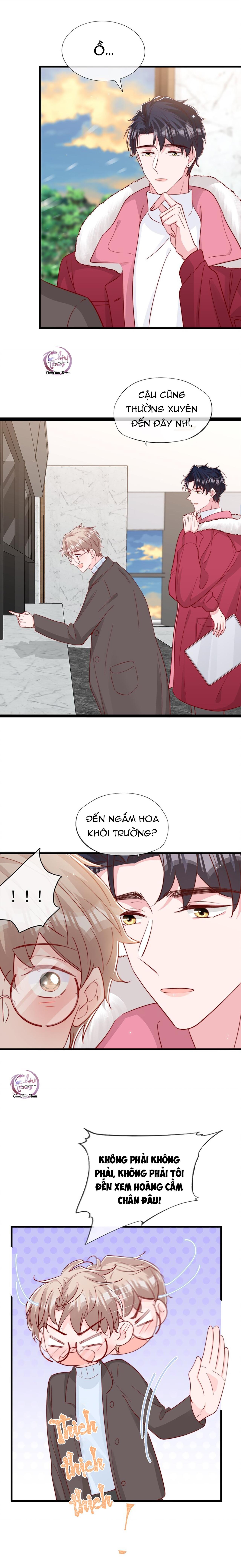 quả chanh và tia chớp chapter 56 14