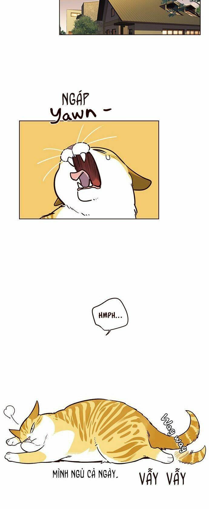biến thân thành mèo chapter 12 48